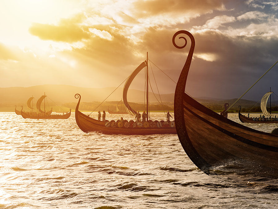 The Vikings in America