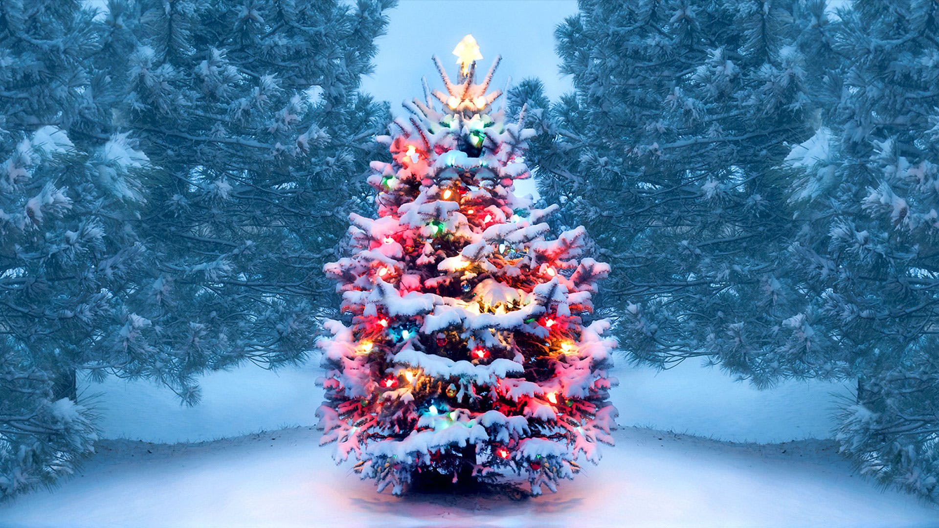 The Magic of Yule