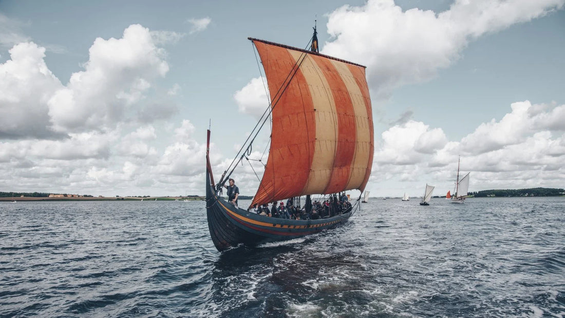 The Viking City of Dublin