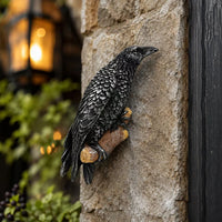 Odin Raven Statue in Resin