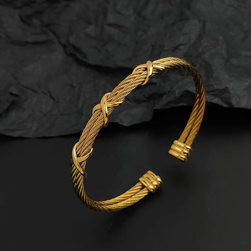Ropes on a Longship Titanium Steel Bracelet