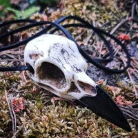 Odin's Raven Skull in Resin Necklace
