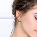 Classic Triquetra 925 Sterling Silver Earrings