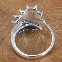 Fafnir the Wise 925 Sterling Silver Adjustable Ring and Bracelet